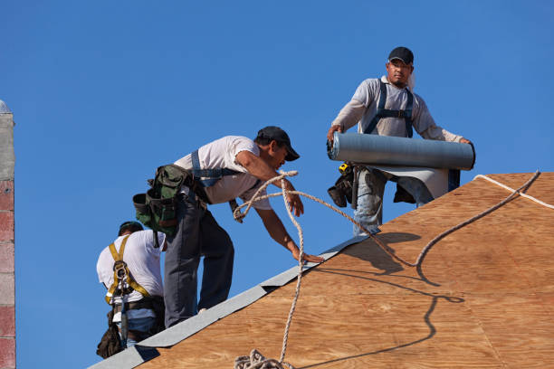 Best Commercial Roofing Services  in Evans City, PA