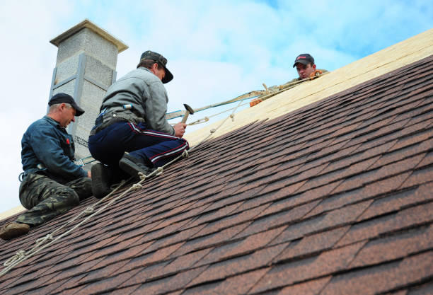Best Residential Roofing Contractor  in Evans City, PA