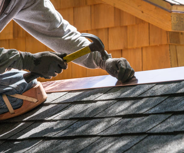 Best Roof Gutter Cleaning  in Evans City, PA